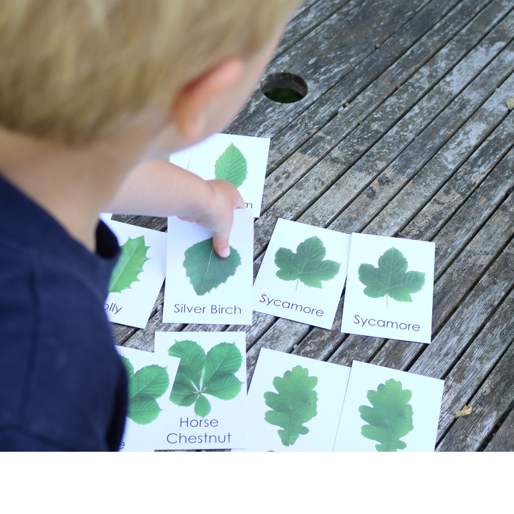 Child playing with Little Robin Education Leaf Flashcards