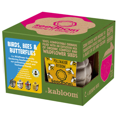 Seedbom birds bees and butterflies gift box for kids