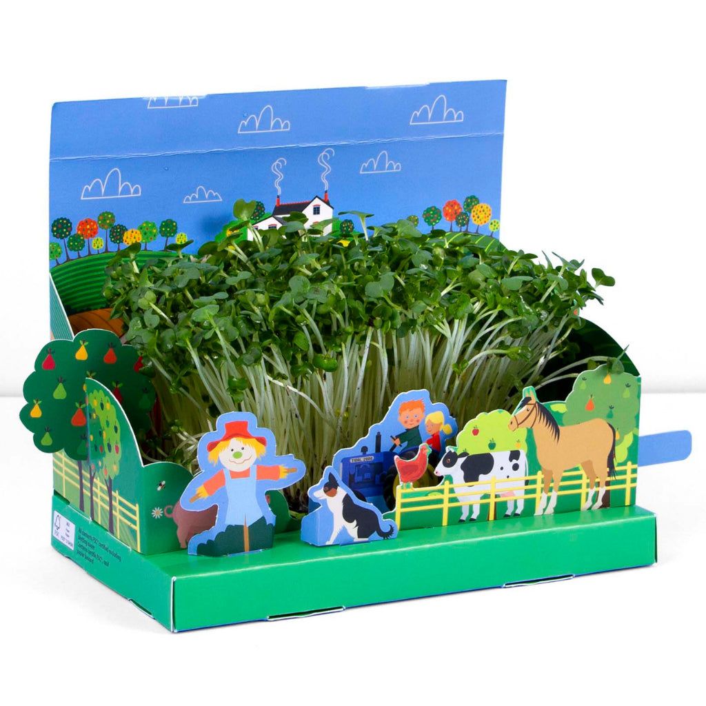 Mini farmyard garden for children growing cress