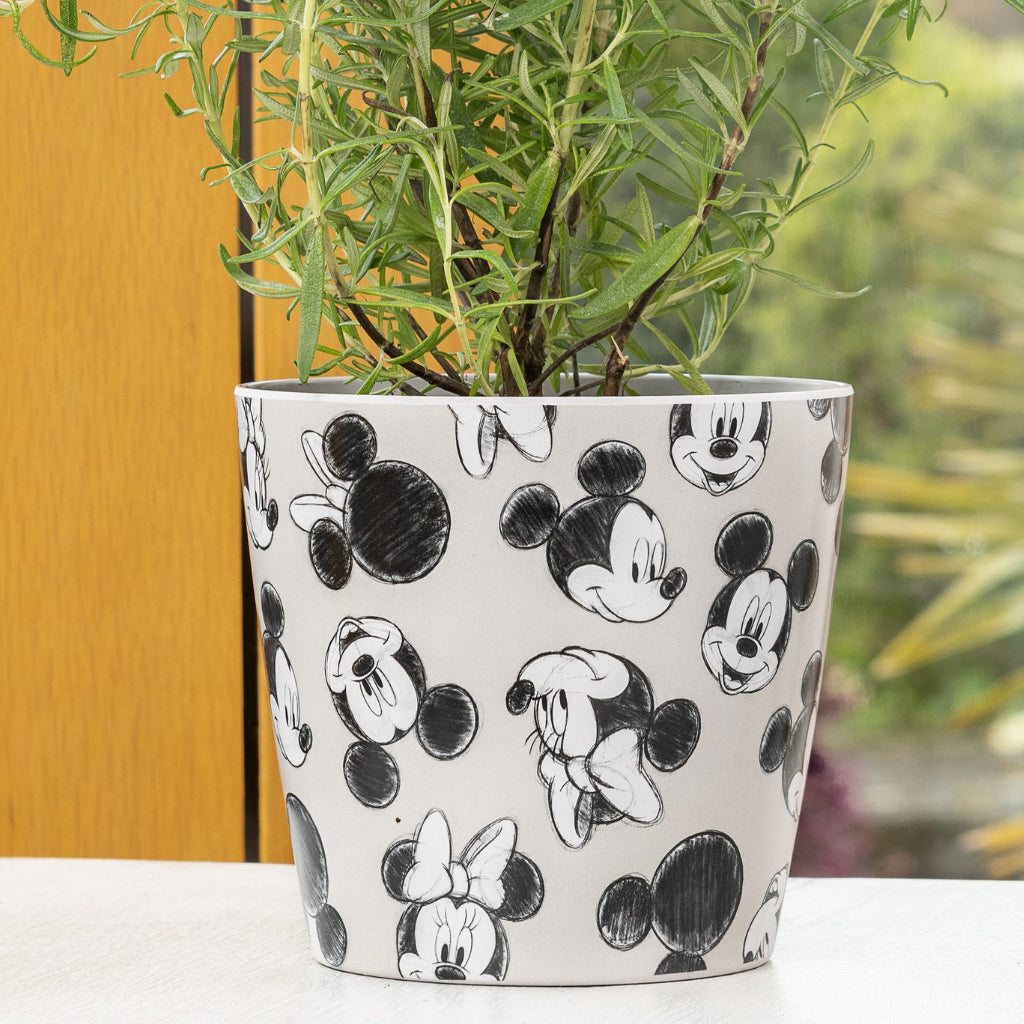 Grey Mickey and Minnie Mouse Eco-Pot for children with plant
