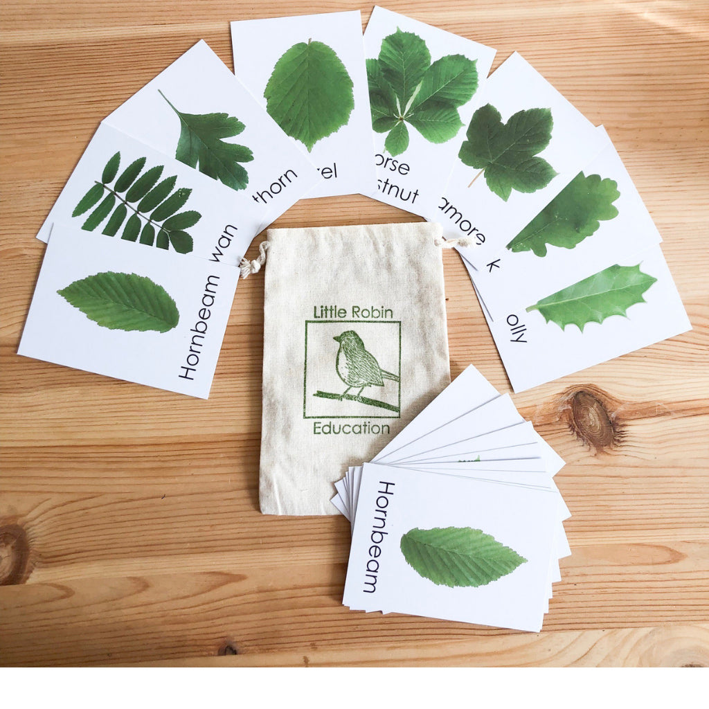Little Robin Education Leaf Flashcards for children