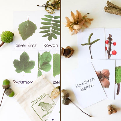 Little Robin Education Leaf Flashcards with Seeds and Berries ad-on