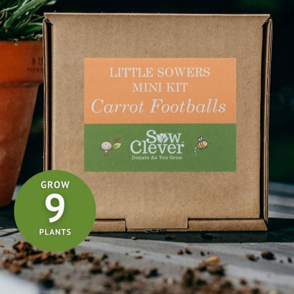 Carrot Football Seed Kit for children from Little Sowers