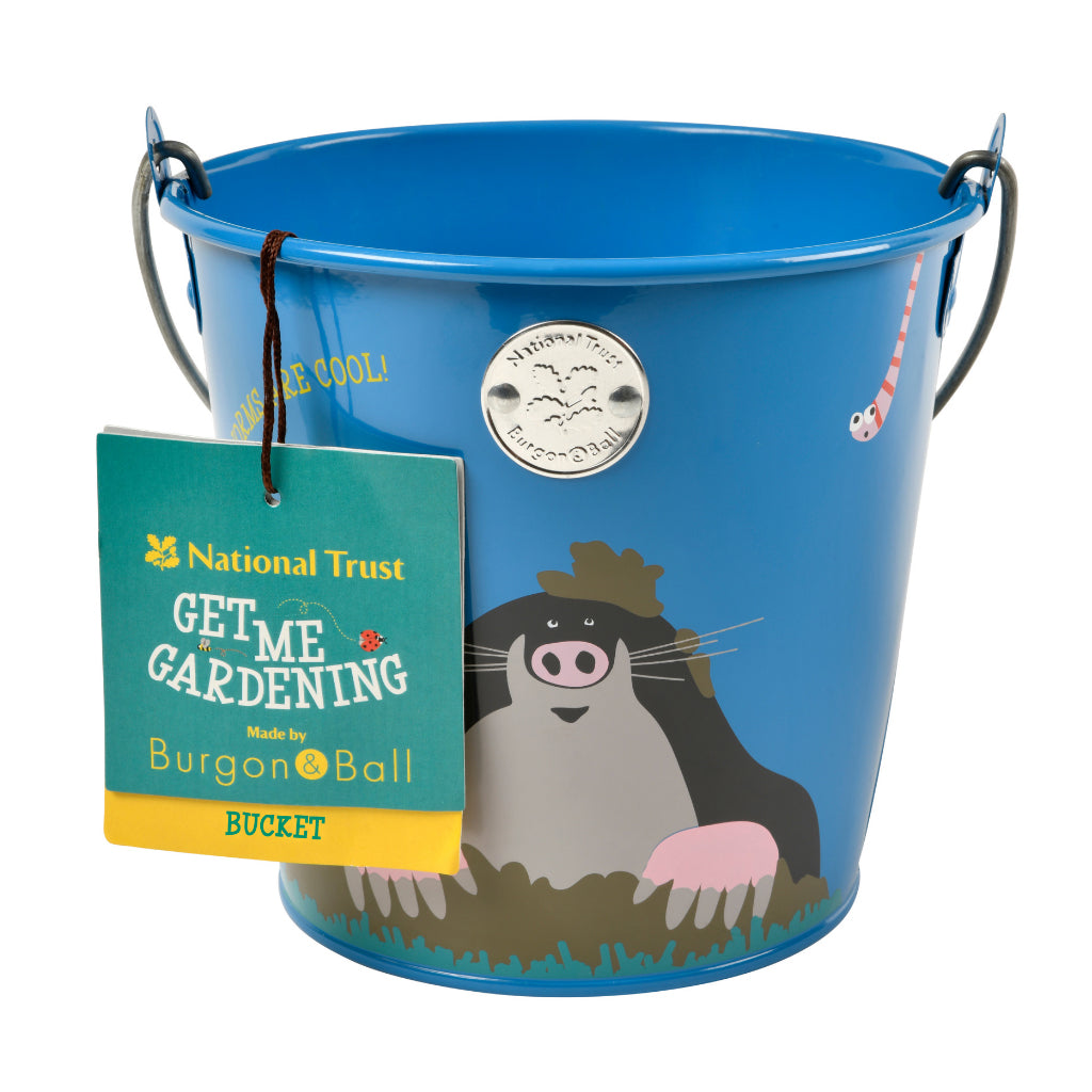 Blue National Trust Children's Bucket