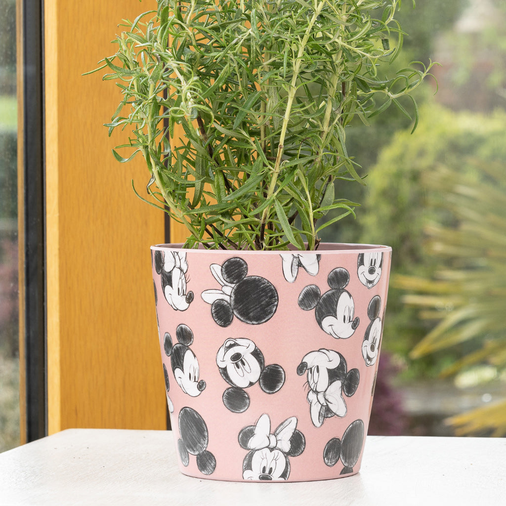 Pink Mickey and Minnie Mouse Eco-Pot for children with plant