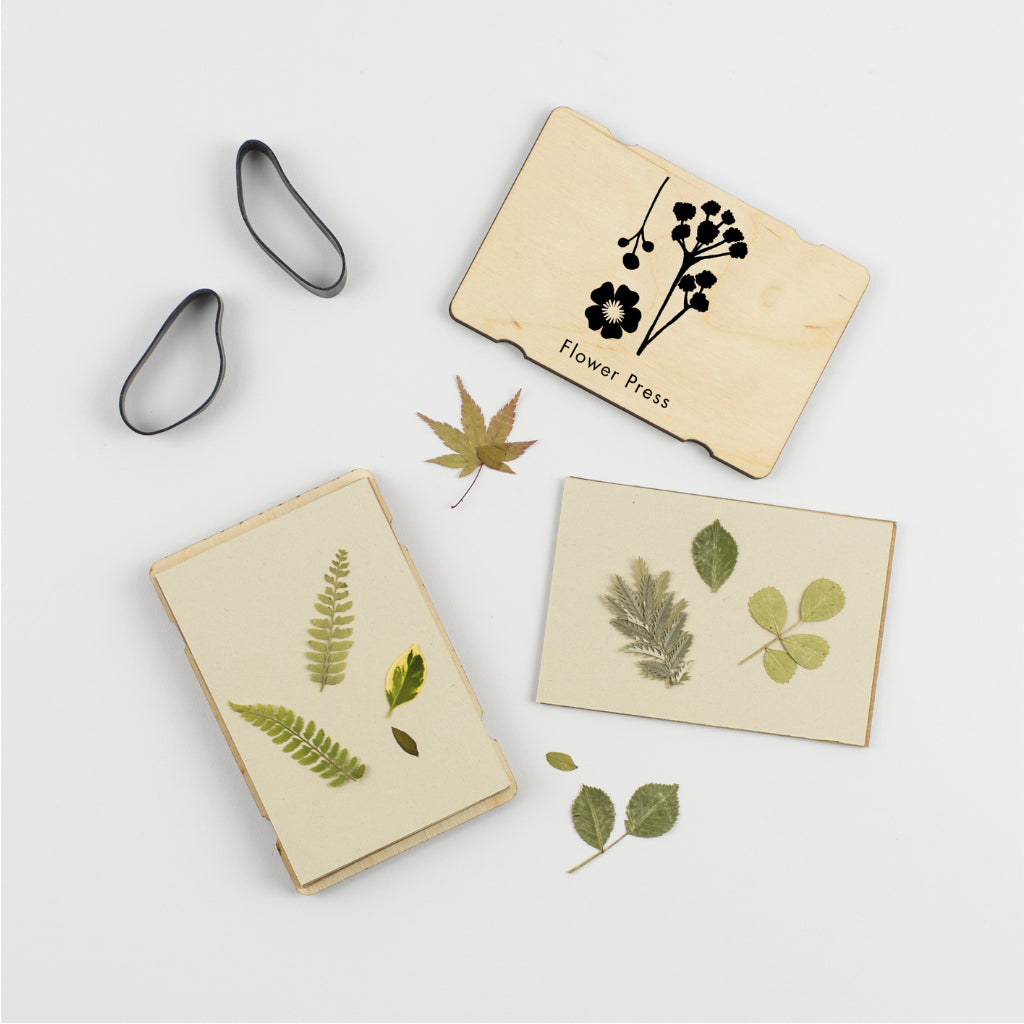 Pocket flower press for kids with vertical flowers design and pressed leaves