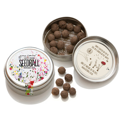 Example of seedball tin content in garden set for kids