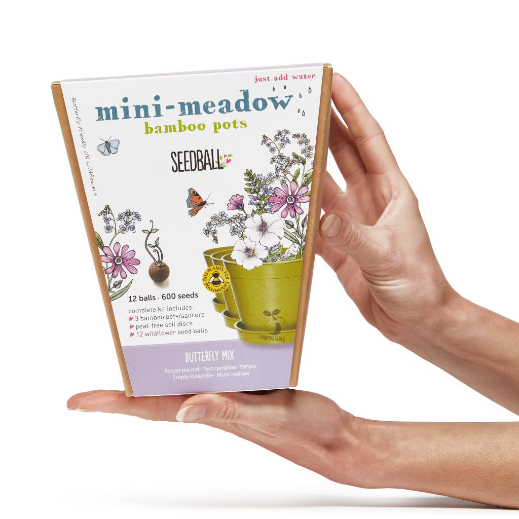 Size of Seedballs mini meadow sowing kit for children