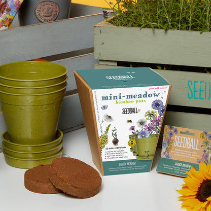 Content of Seedball mini meadow sowing kit for children in the garden