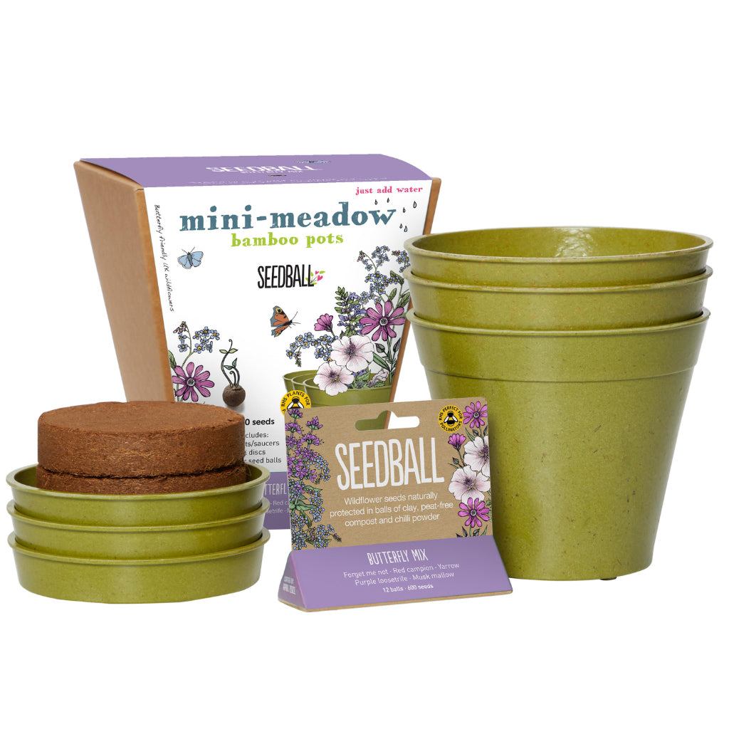 Content of grow kit by Seedball for children