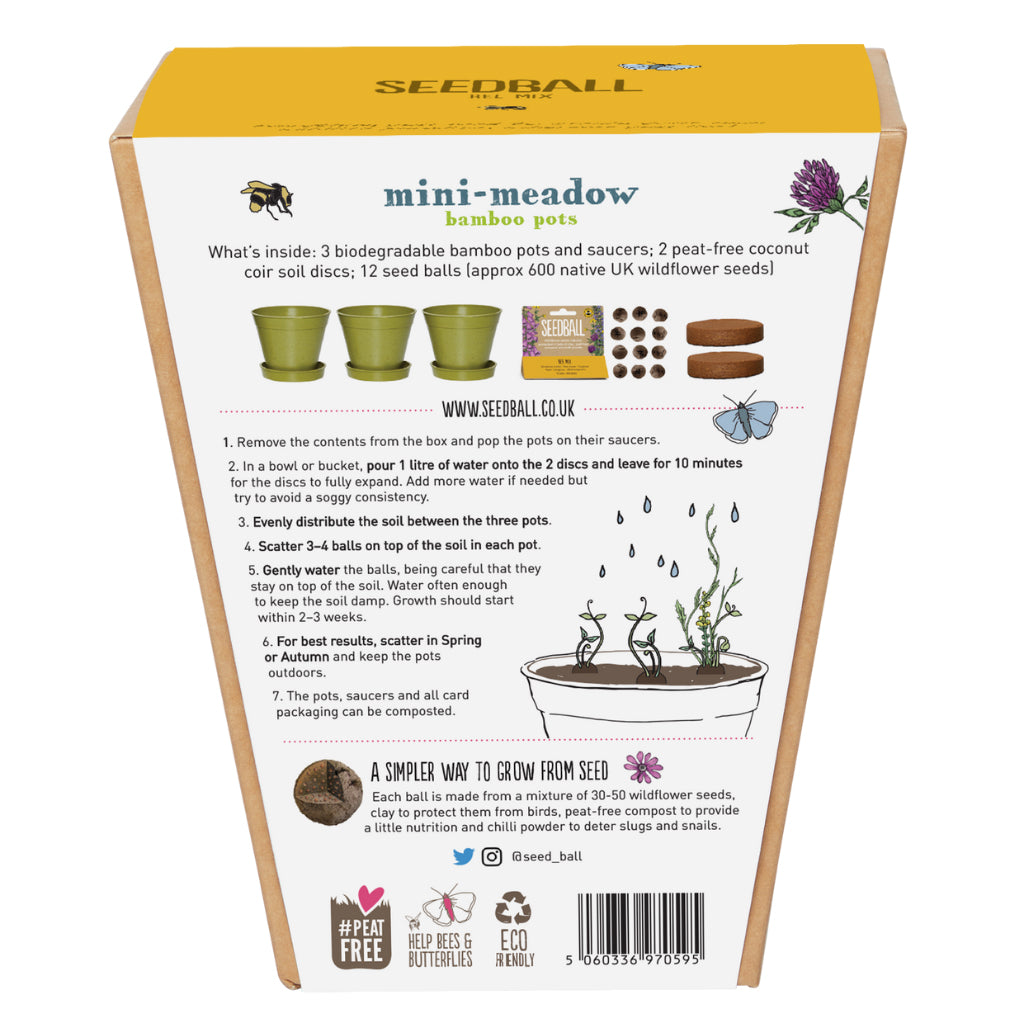 Back of Seedball mini meadow bee mix sowing kit for children