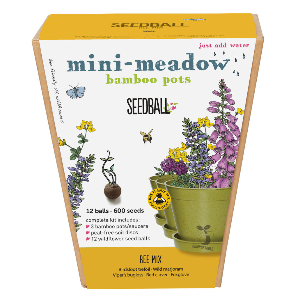Front of Seedball mini meadow bee mix sowing kit for children