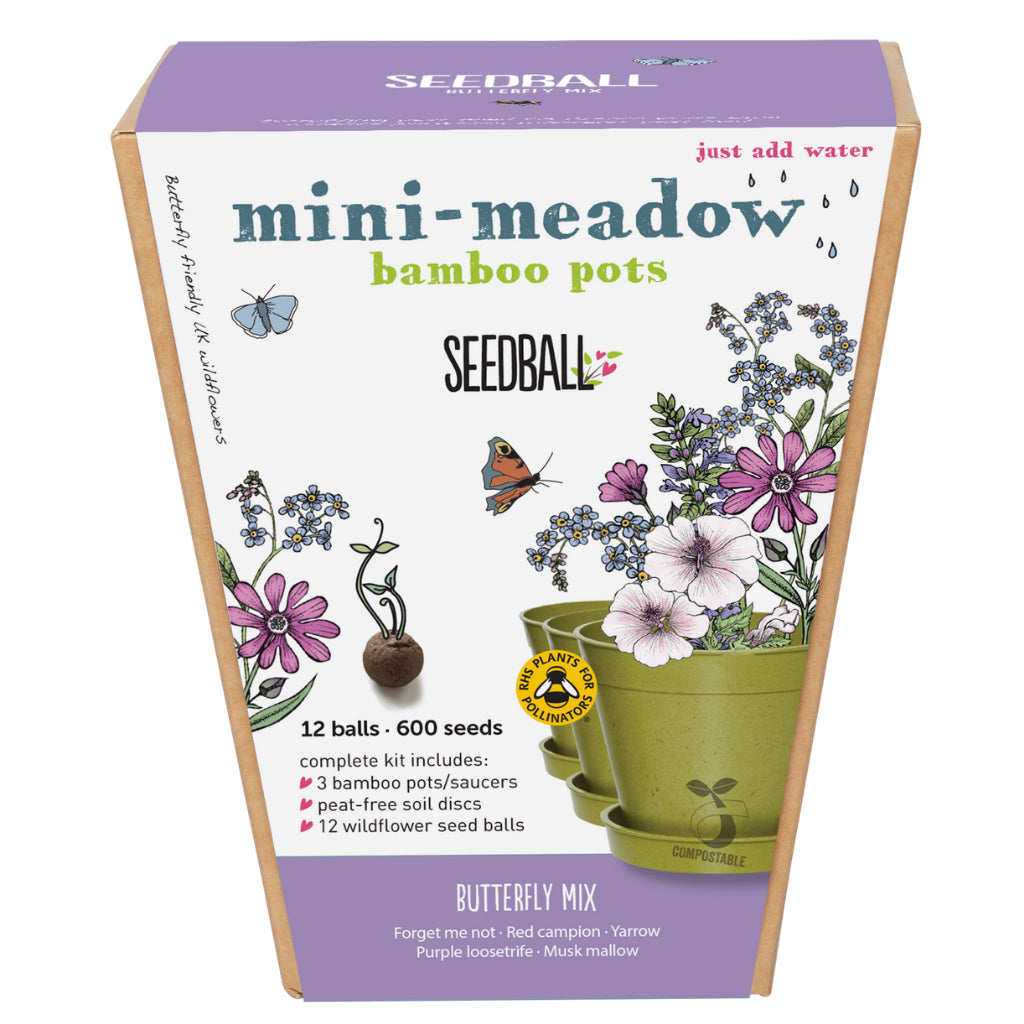 Front of Seedball mini meadow butterfly mix sowing kit for children