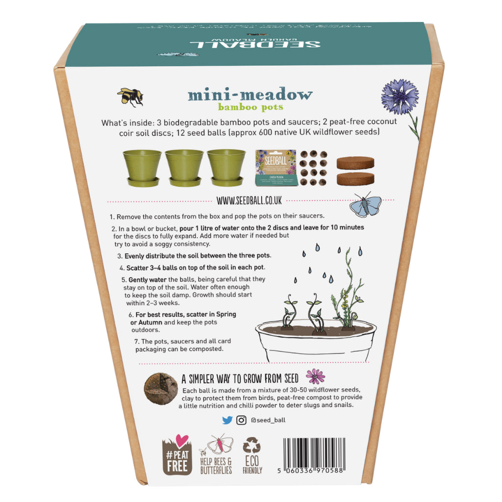 Back of Seedball mini meadow garden meadow mix sowing kit for children