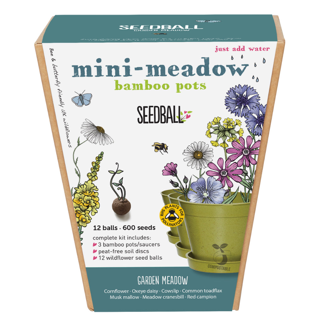 Front of Seedball mini meadow garden meadow mix sowing kit for children