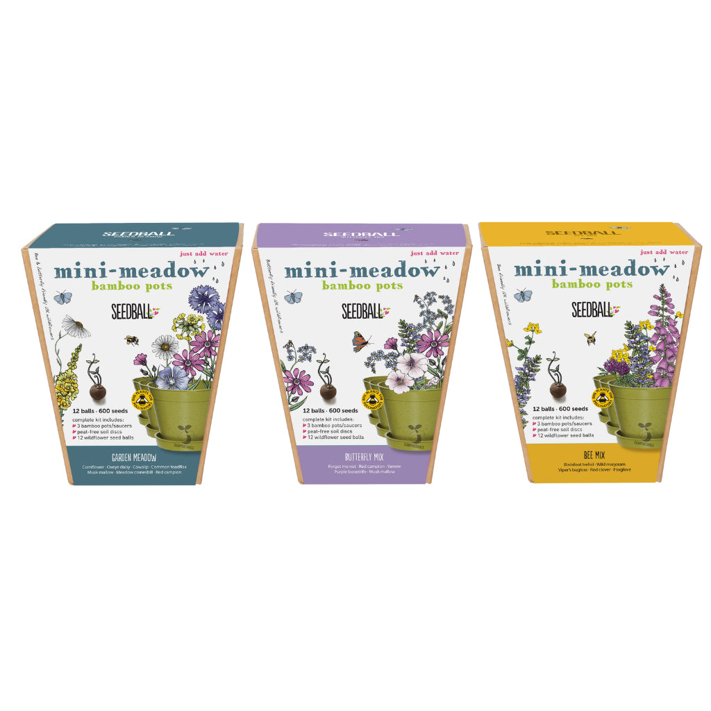 Three types of Seedball mini meadow sowing kit for children