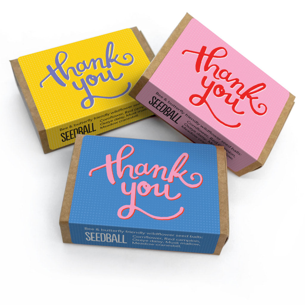 Thank you matchboxes in pink, blue and yellow with wildflower seed balls
