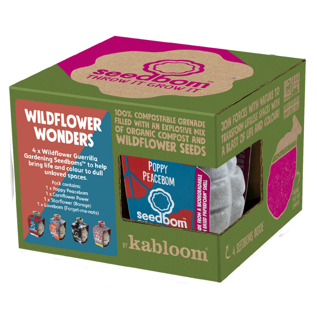 Seedbom Wildflower Wonder gift box