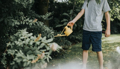 Boy using The Langley Sprinkler Watering Can in yellow