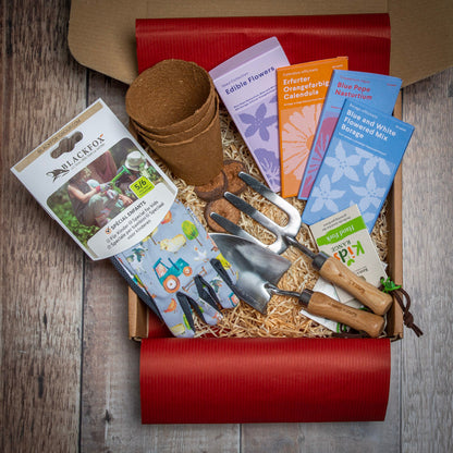 Young Gardener Starter Kit containing children's gardening tools, seeds, gloves and pots