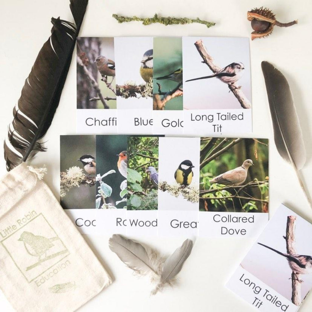 Little Robin Education Garden Birds Flashcards for children